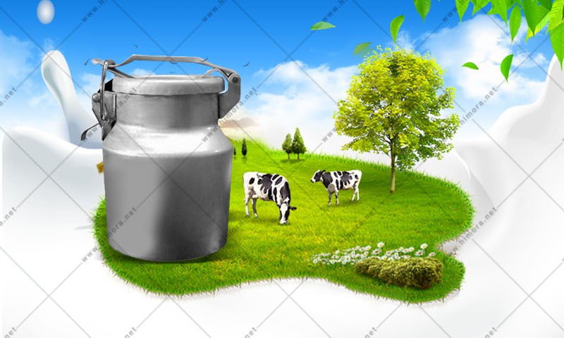 ظرف حمل شیر آلومینیومی 150 لیتر