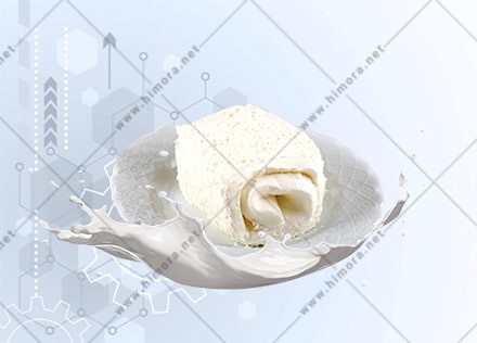 پروسس تانک شیر