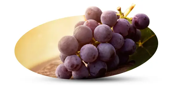 آب میوه گیری انگور