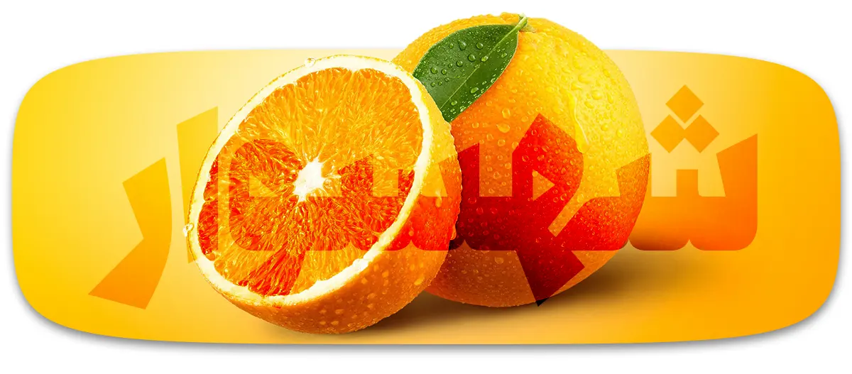 آبمیوه گیری صنعتی