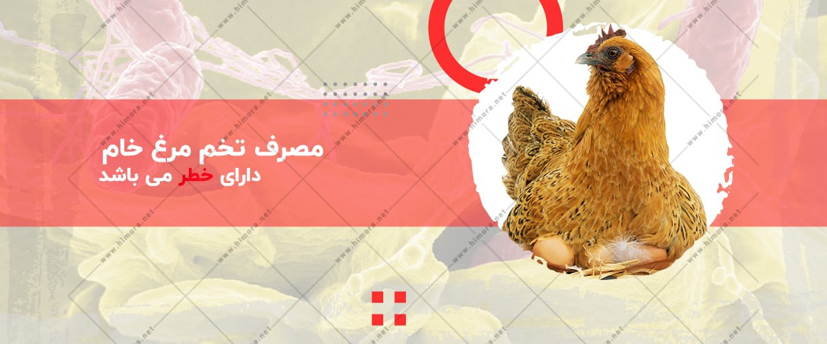 پاستوریزه کردن زرده تخم مرغ پاستوریزه کردن زرده تخم مرغ