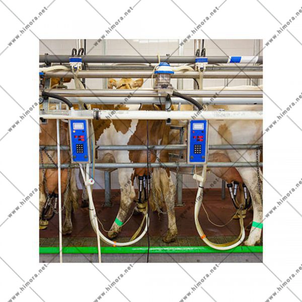 شیردوش گاوداری صنعتی