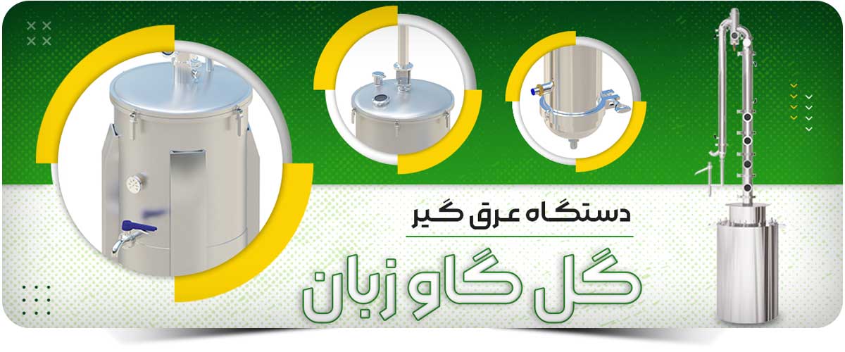 عرقگیر گل گاو زبان