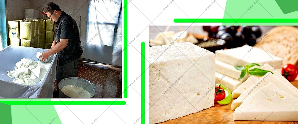 تولید پنیر با وت پنیر سازی