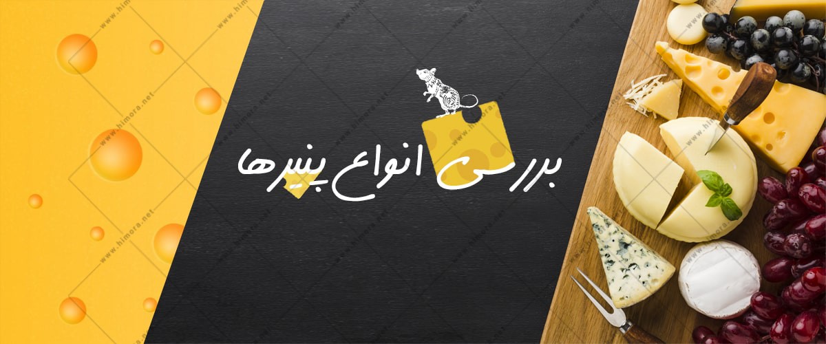 انواع پنیرها