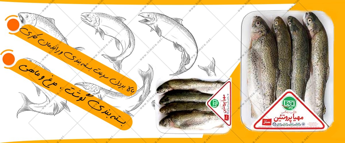 قیمت دستگاه بسته بندی ماهی