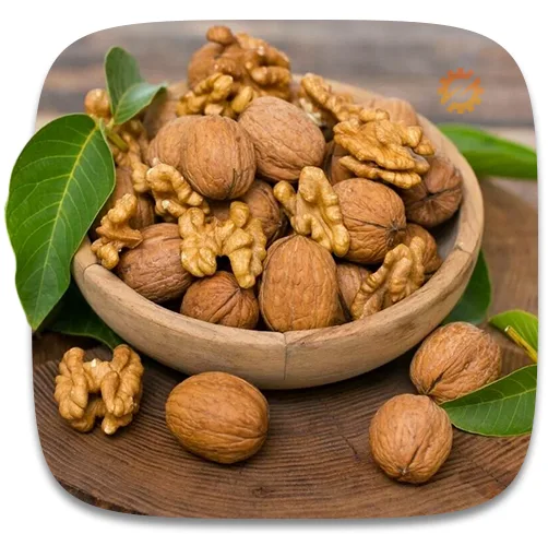 جنس تیغه‌ها مغز خردکن