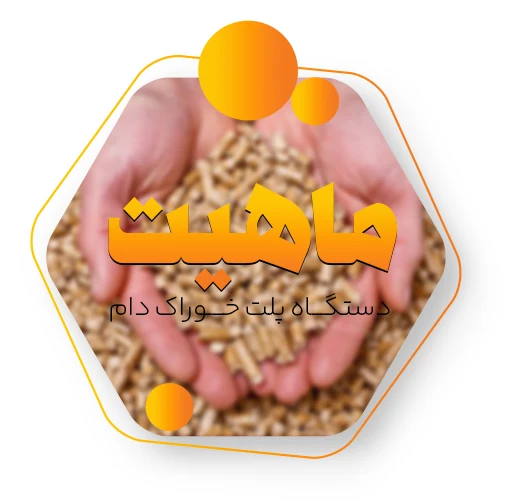 ماهیت پلت ساز