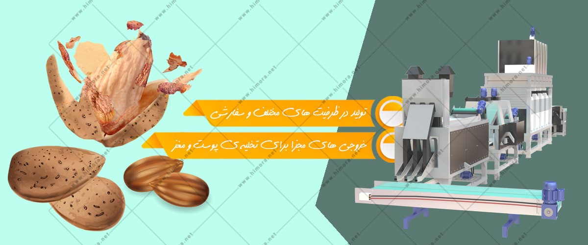 خط کامل عمل آوری مغز بادام