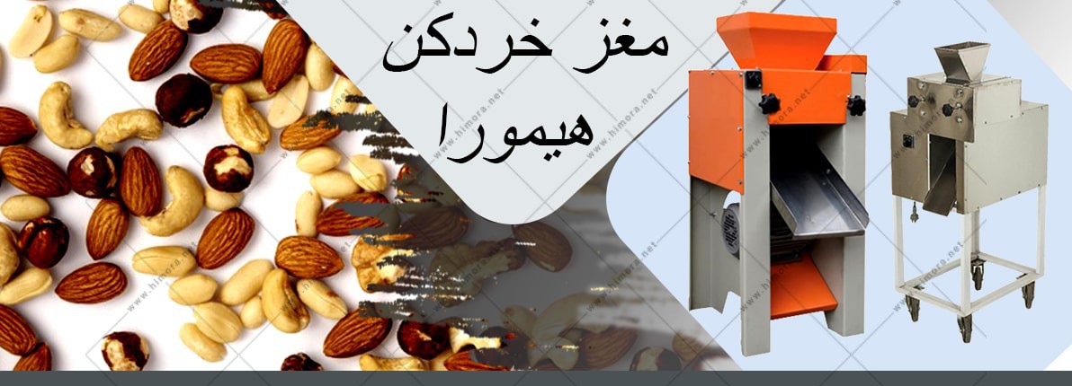 مغز خرد کن