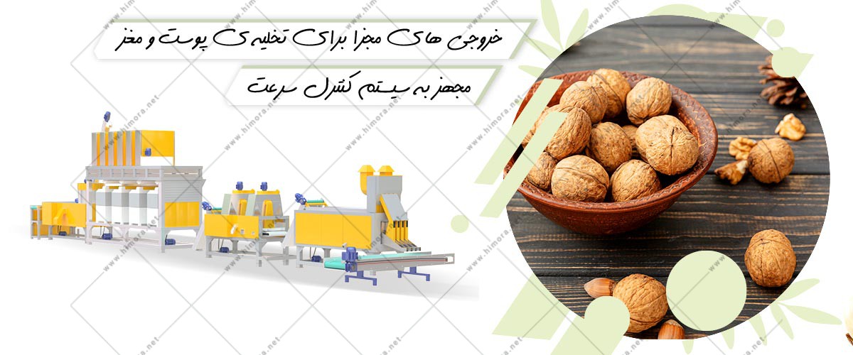 قیمت مغز کن گردو