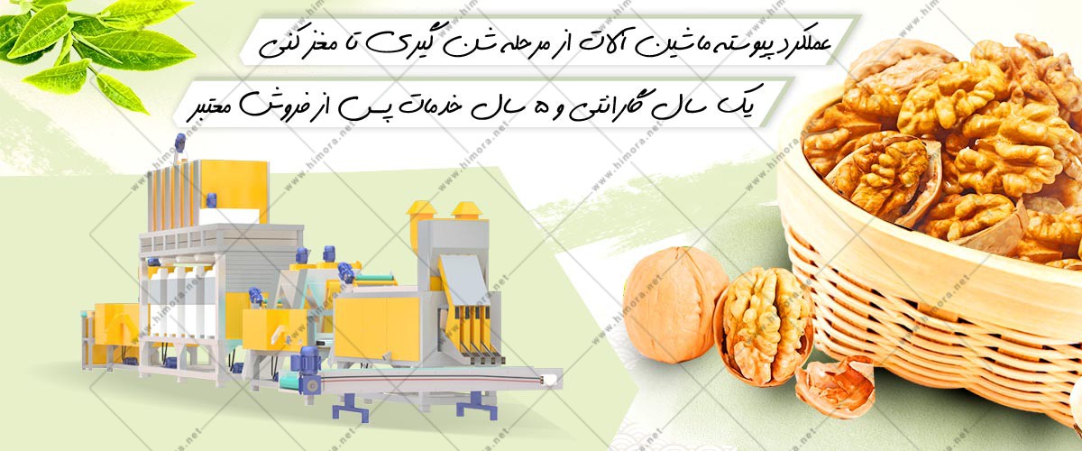 قیمت مغز کن گردو