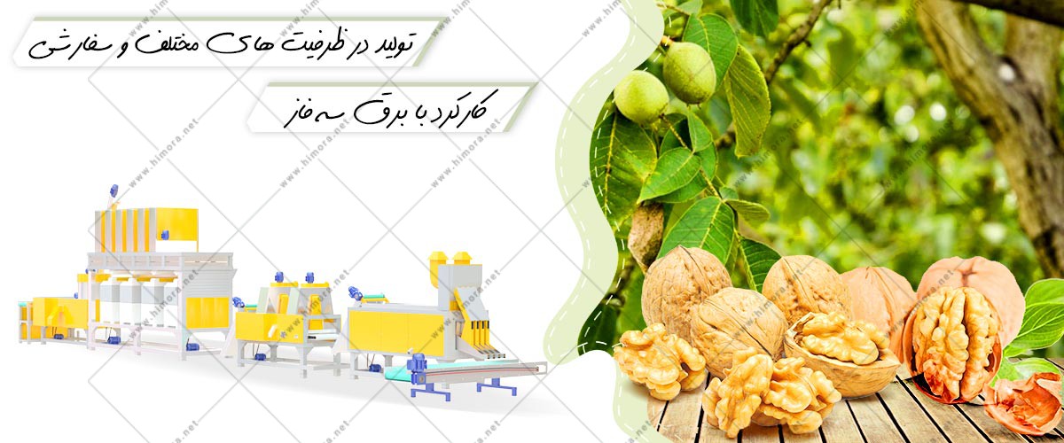 قیمت مغز کن گردو