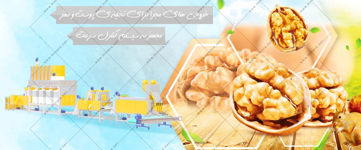 گردو مغز کن