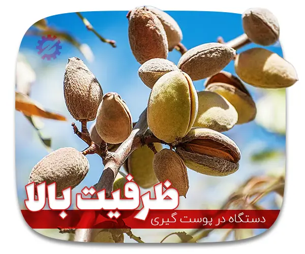 ظرفیت بالا دستگاه پوست کن بادام