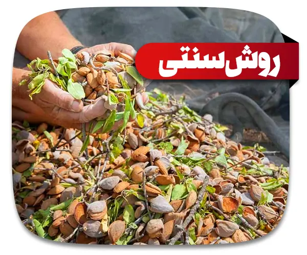 روش‌های سنتی و صنعتی پوست کن بادام هیمورا