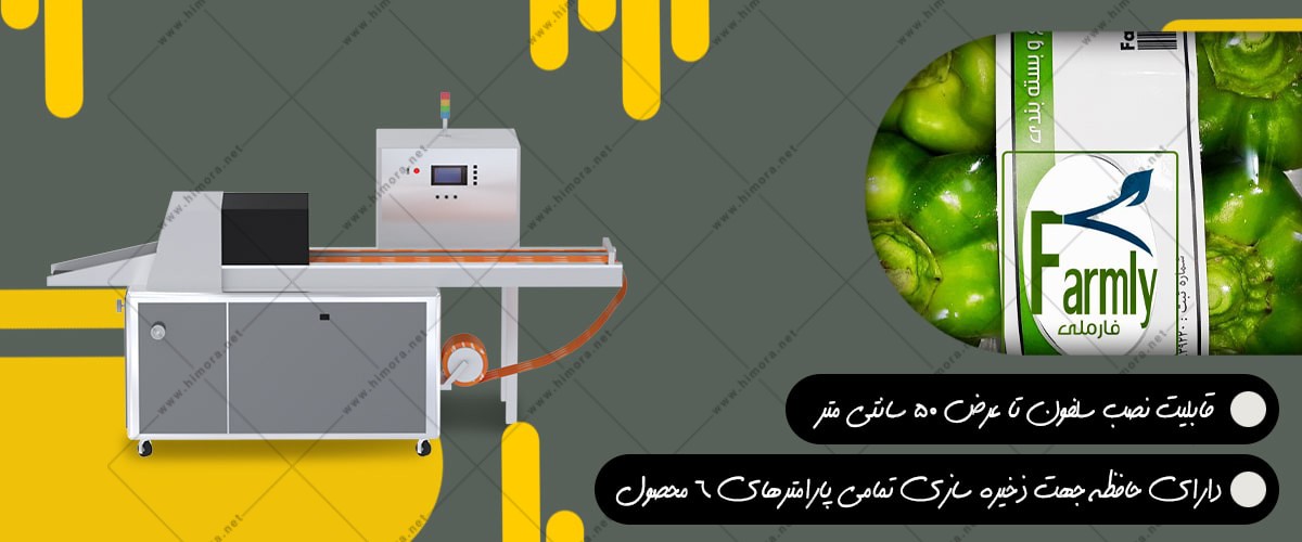 بسته بندی فلفل دلمه ای بسته بندی فلفل دلمه ای