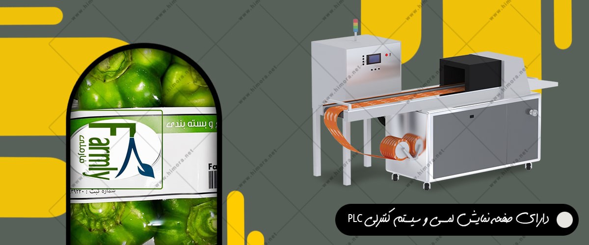 بسته بندی فلفل دلمه ای بسته بندی فلفل دلمه ای