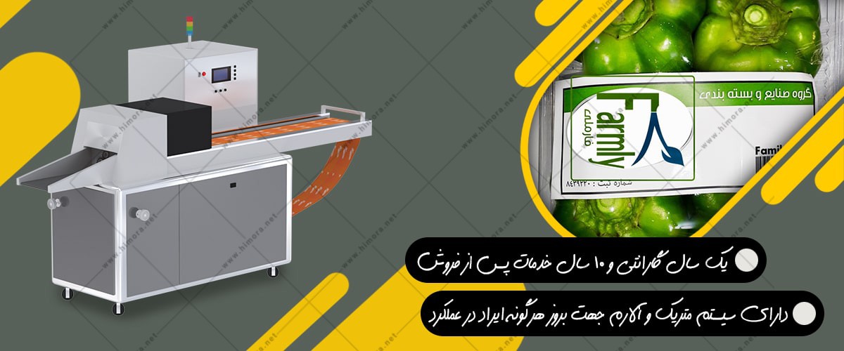 بسته بندی فلفل دلمه ای بسته بندی فلفل دلمه ای