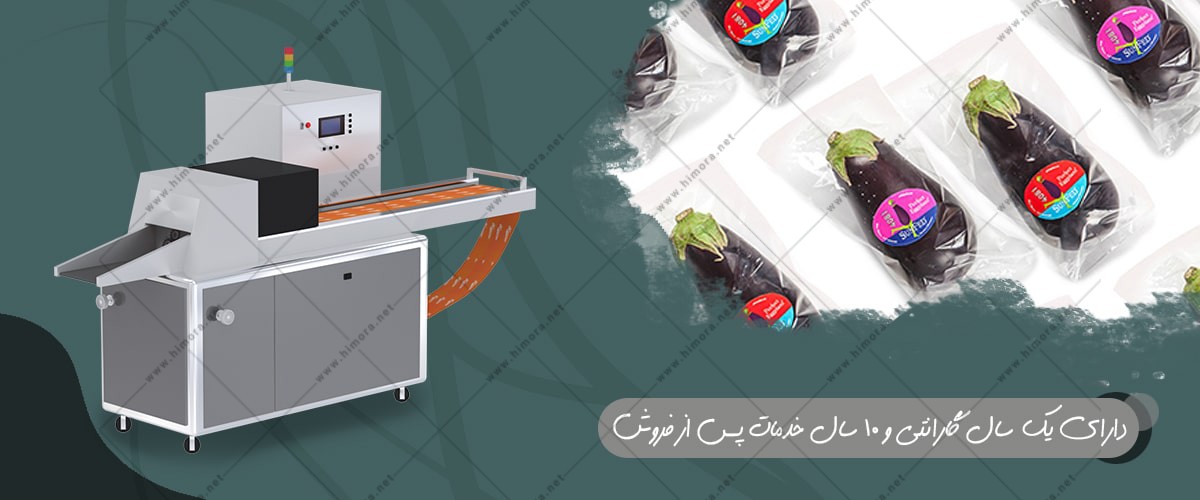 بسته بندی بادمجان