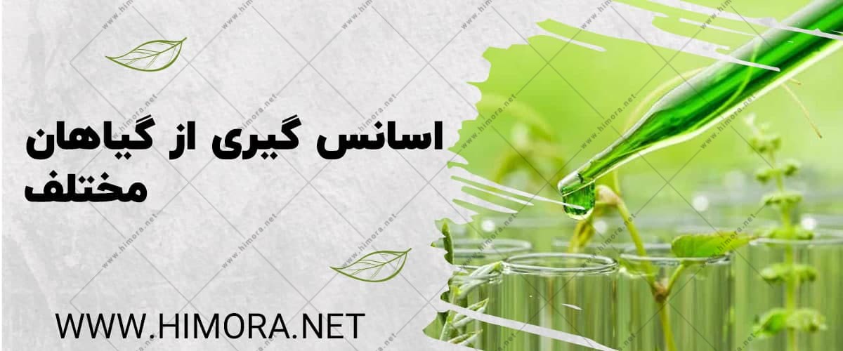 اسانس نوع یک