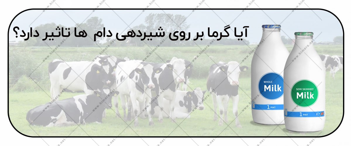 تاثیر گرما در شیردهی دامی