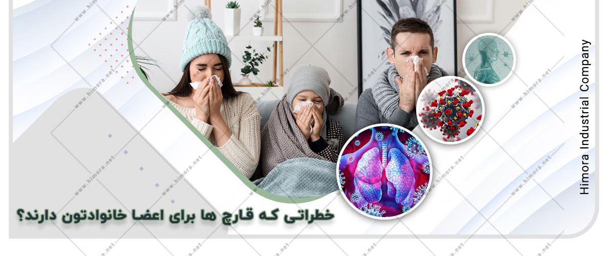 قارچ حمام قارچ حمام