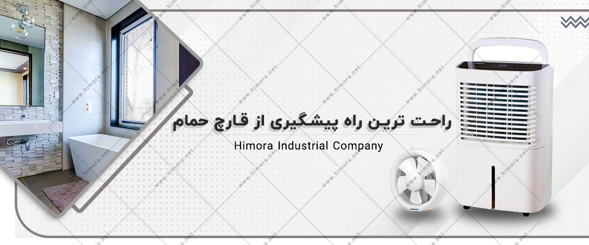 قارچ حمام قارچ حمام
