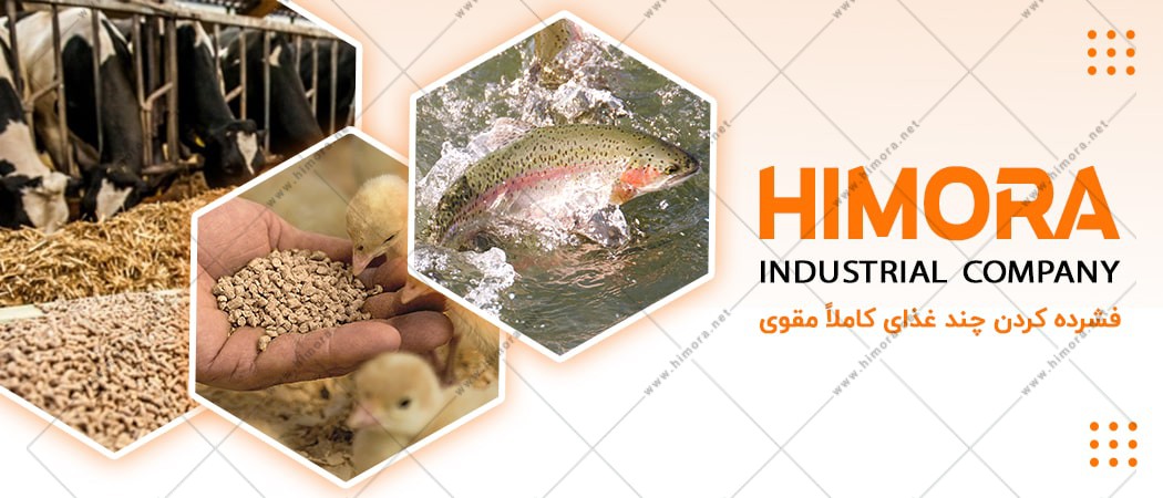 پلت خوراک دام و طیور پلت خوراک دام و طیور