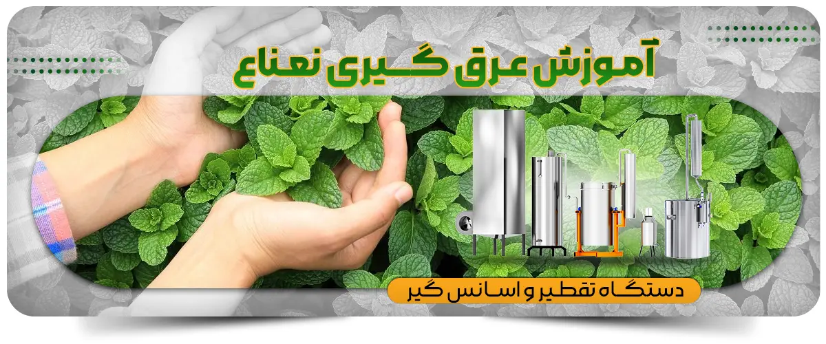 آموزش عرق گیری نعناع با دستگاه هوشمند: از ترکیب علم و فناوری تا تجربه‌ی لذت‌بخش