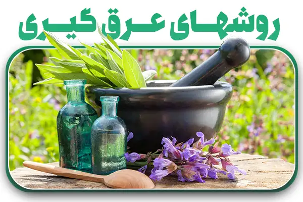 عرقیات گیاهی و انواع روش های تولید این عرقیات کدامند؟