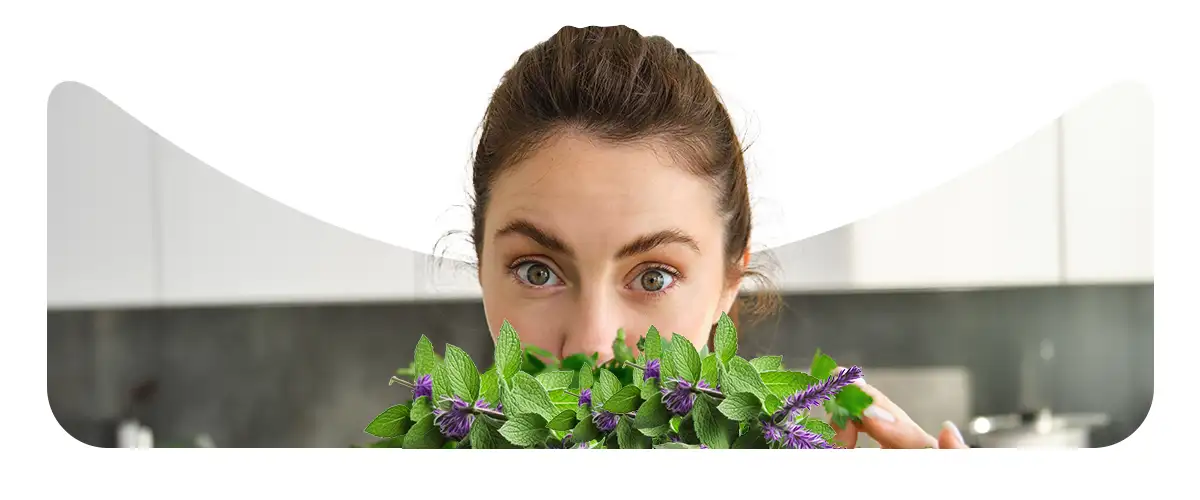 مراحل کلی عرق گیری از گیاهان + فیلم✅ + راهنمای انتخاب نوع دستگاه