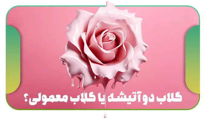 گلاب دو آتیشه اصل