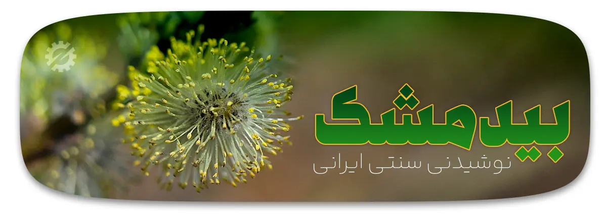 شربت بیدمشک نوشیدنی سنتی ایرانی با طعمی بهشتی و خواص درمانی شگفت‌انگیز!