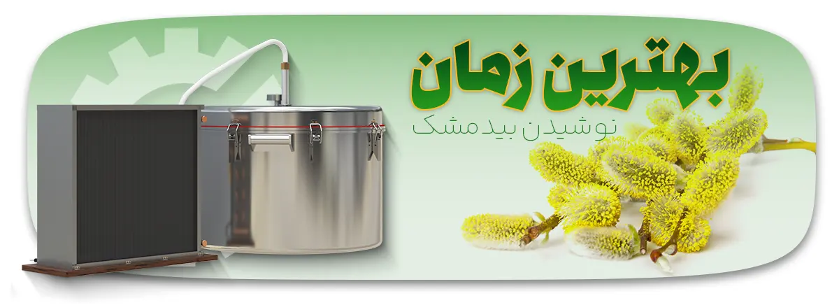 آیا نوشیدن عرق بیدمشک در بارداری بی خطر است؟