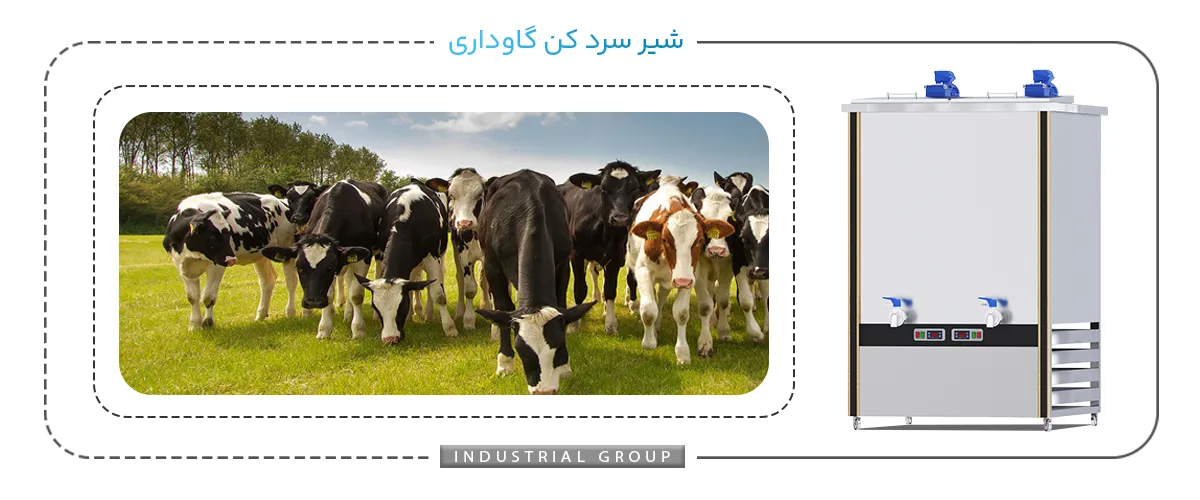 شیر سردکن گاوداری مزایا و معیاب