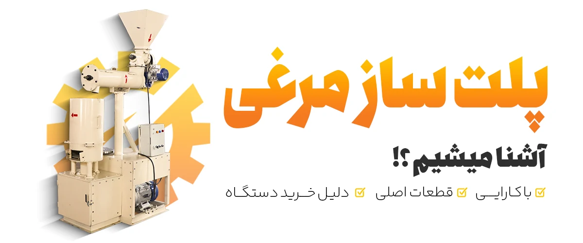 با پلت سازی مرغی آشنا شوید
