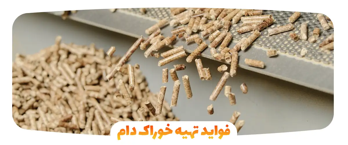 فواید تهیه خوراک دام