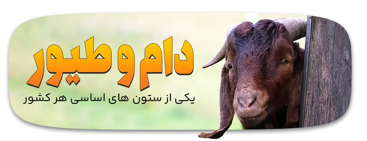 10 دلیل مهم اقتصادی برای خرید این دستگاه