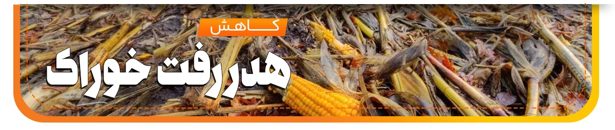 کاهش هدر رفتن خوراک پلت ساز