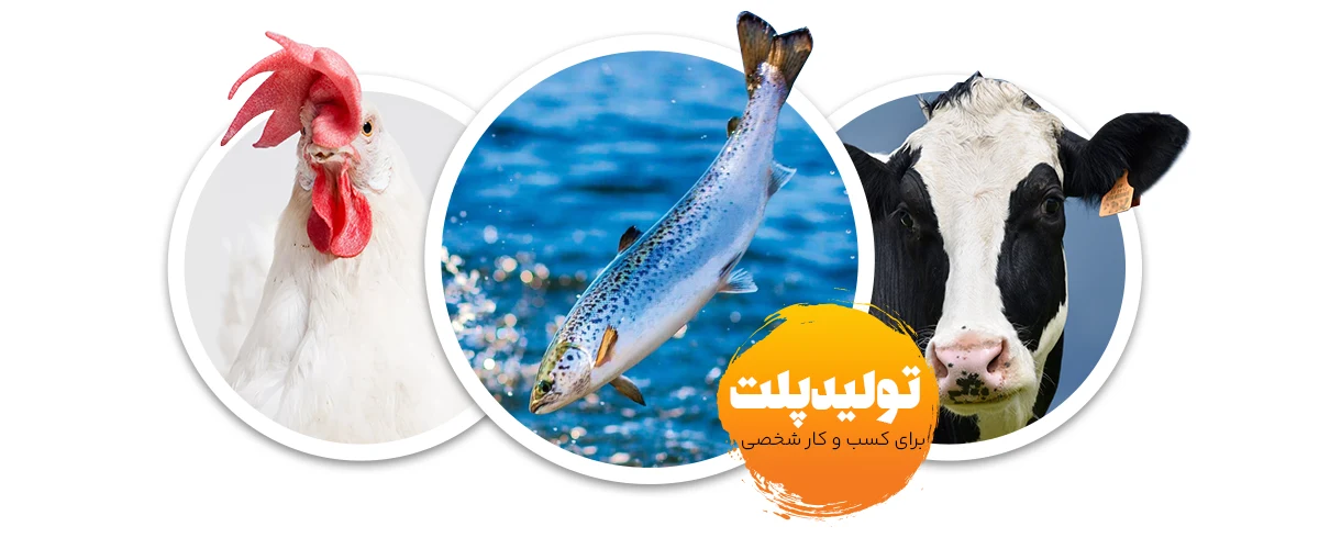 تولید پلت برای کسب‌وکار شخصی: از تولید به مصرف