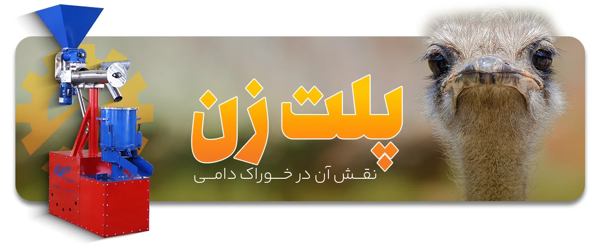 نقش پلت زن در خوراک دامی