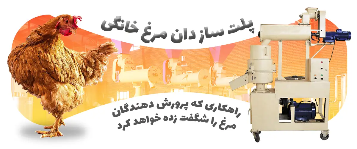 پلت ساز دان مرغ خانگی: راهکاری که پرورش دهندگان مرغ را شگفت زده خواهد کرد