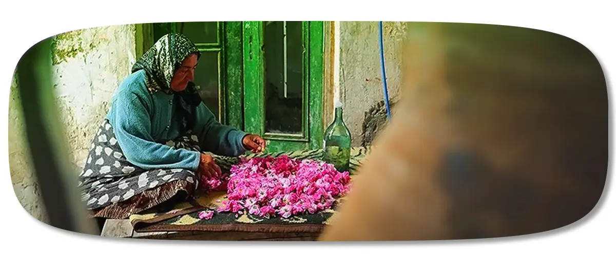 تولید اسانس از گیاهان