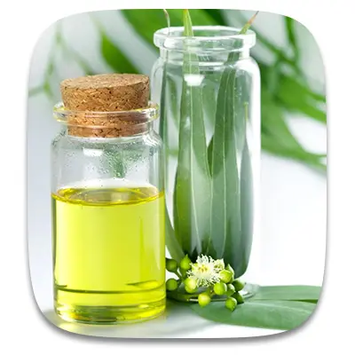 اسانس گیر در صنعت دارویی
