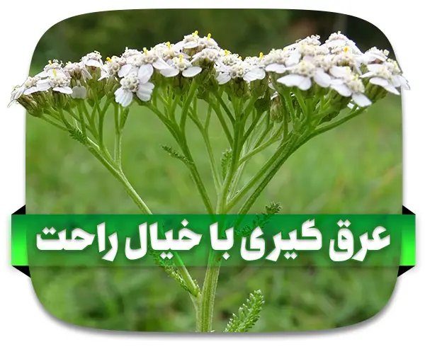 ویژگی های عرق گیر های آلومینیومی با کندانسور برقی