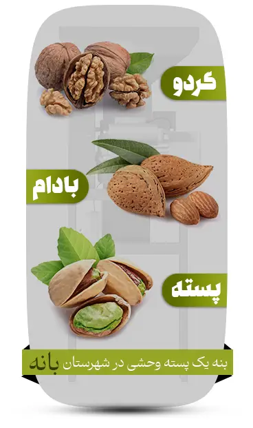 سرعتی بی‌نظیر در فرآوری و افزایش چشمگیر راندمان